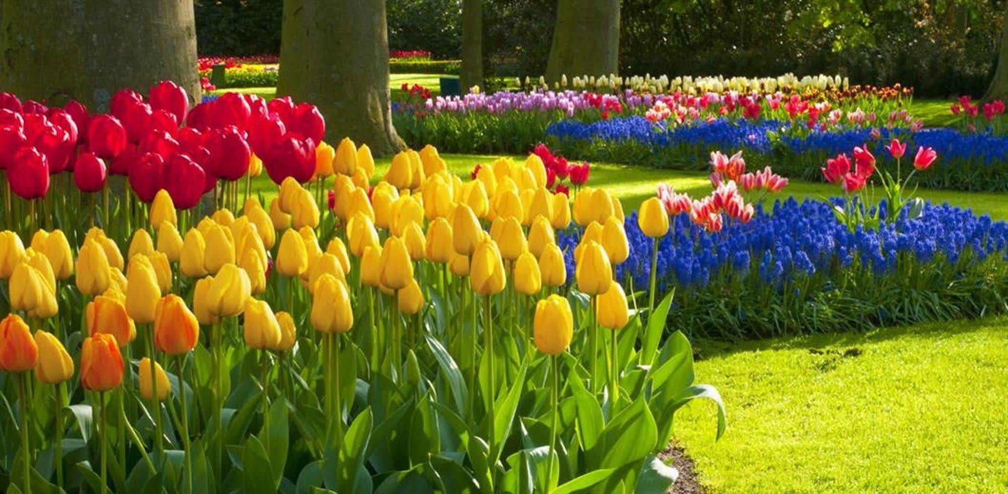בואוראל Milton Park Country House Hotel & Spa מראה חיצוני תמונה